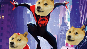 DOGE MILES SPIDER