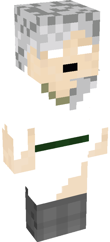 Minecraft Skins