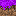 Purple grass Block 8