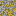 Pure Gold Ore Block 8