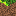 GRASS TNT Block 0