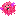 Pink pufferfish raw Item 2