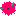 Pink Pufferfish Item 4