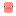 pig elytra Item 5