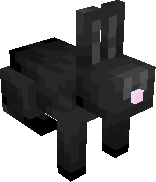 minecraft bunny