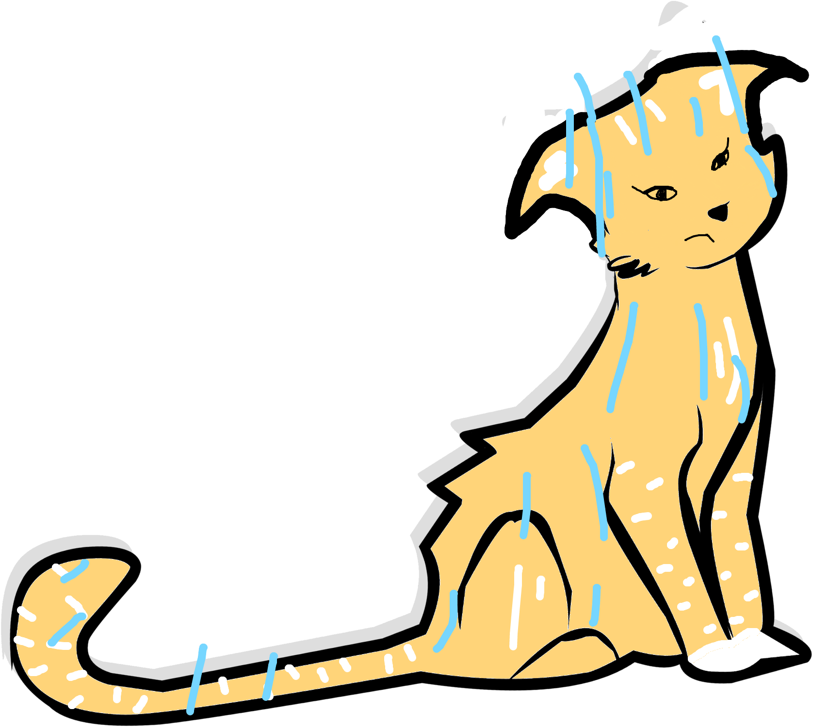 Wet Cat Png Transparent Wet Cat Png Images Pluspng - Free Schedule ...