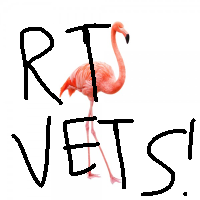 Flamingo Respect The Vets Roblox Id