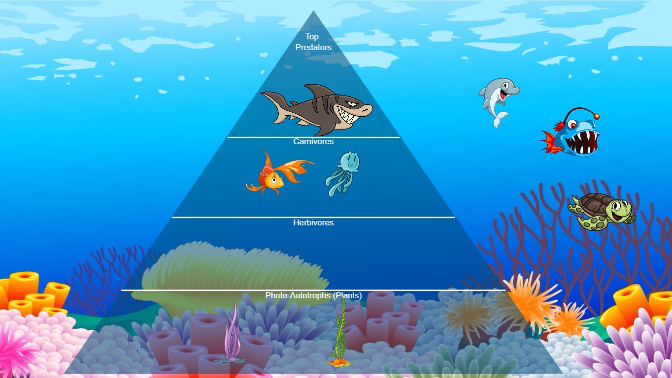 Ocean Ecological Pyramid - TEMPLATE | Tynker