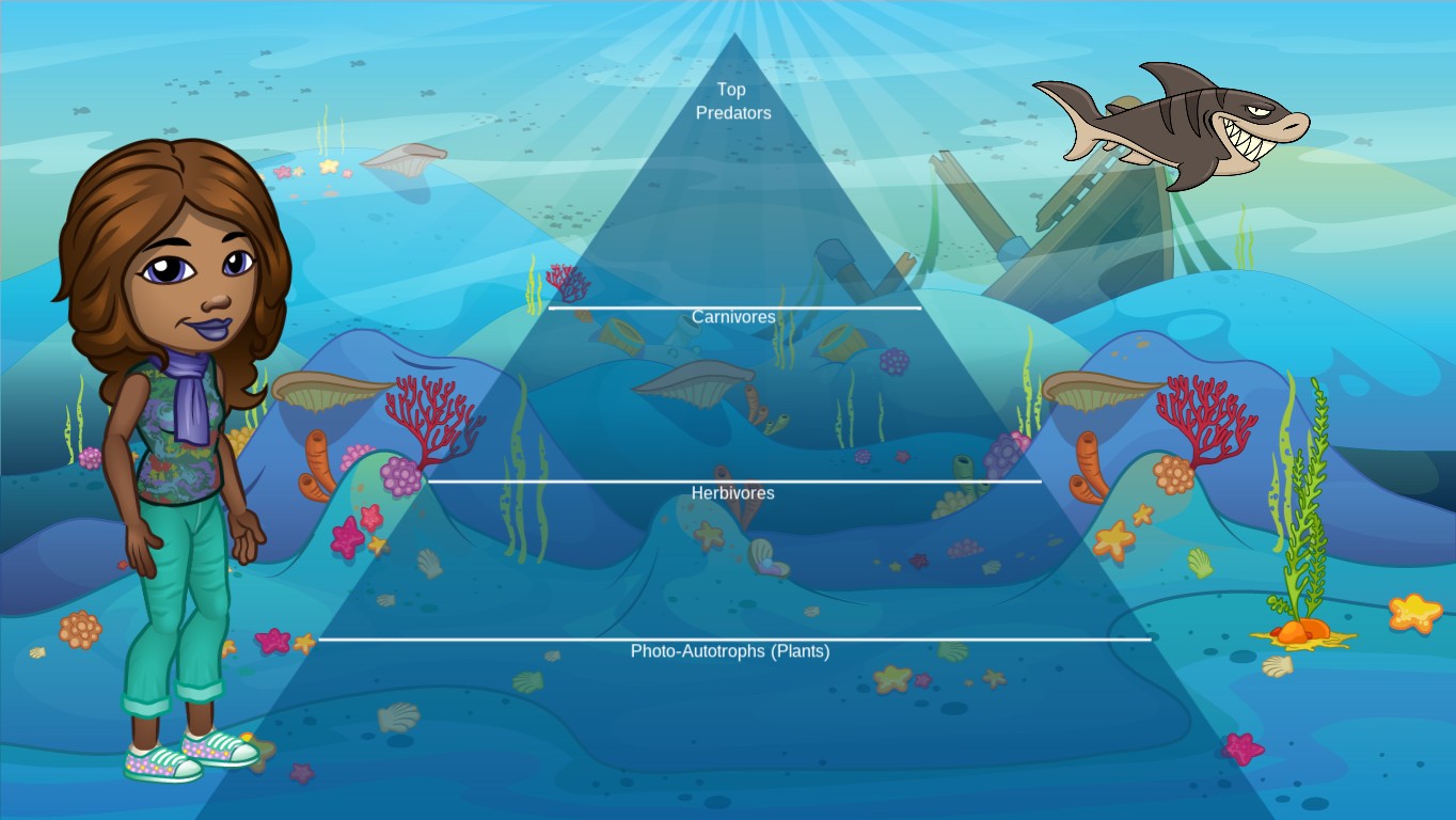 Ocean Ecological Pyramid TEMPLATE Tynker