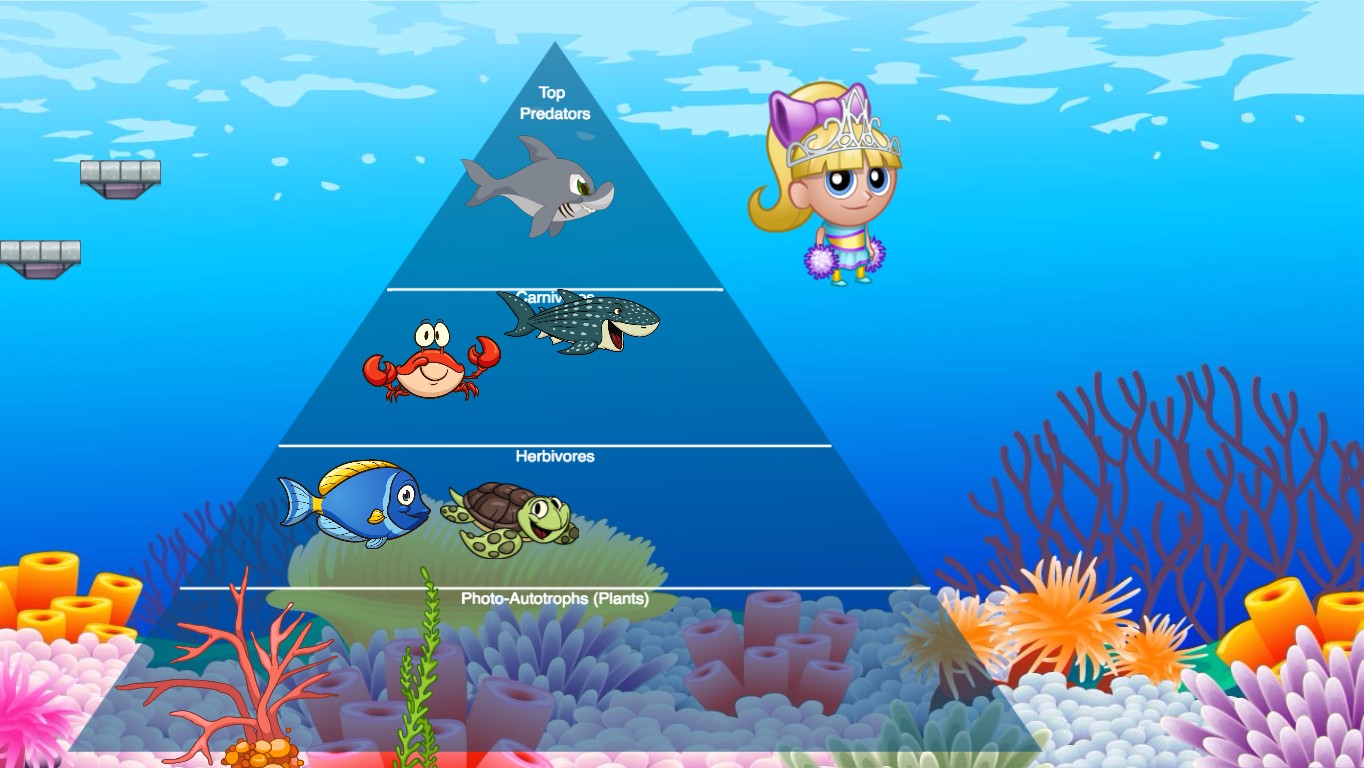 Ocean Ecological Pyramid Template Tynker - roblox coral reef simulator codes