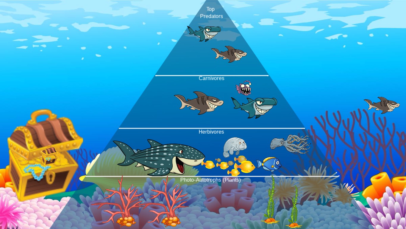 Ocean Ecological Pyramid | Tynker