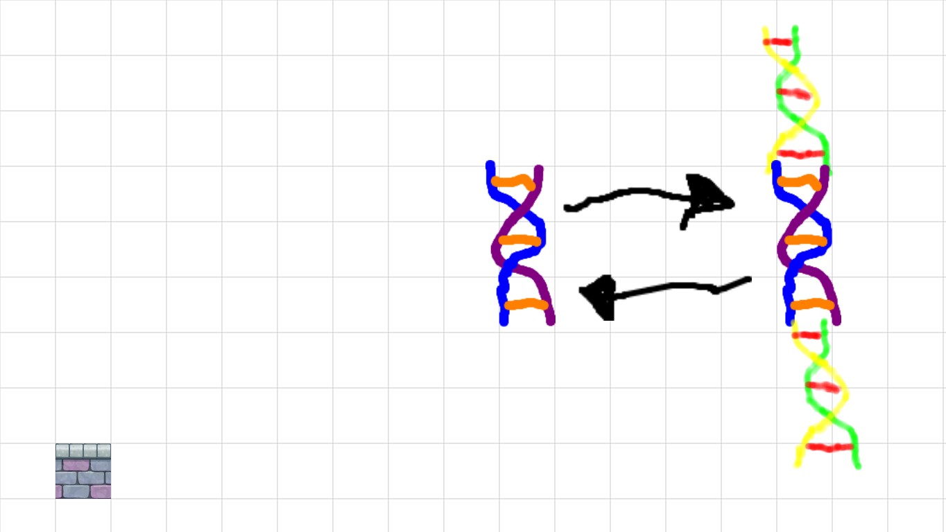 dna presentation