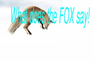 What Dose The Fox Say Real Song 1 1 Tynker - what dose the fox say real song roblox tynker