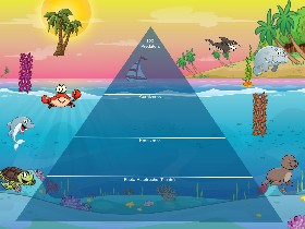 Ecological Pyramid | Tynker